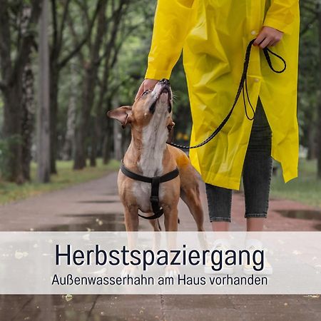Ferienloft Sternenblick - Strandnah, Haustierfreundlich, Tolle Kueche, Optimal Fuer Workation, 4 Personen Steinberg  Εξωτερικό φωτογραφία