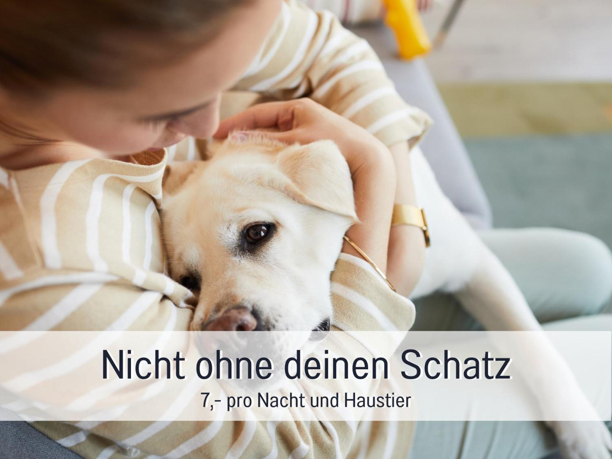 Ferienloft Sternenblick - Strandnah, Haustierfreundlich, Tolle Kueche, Optimal Fuer Workation, 4 Personen Steinberg  Εξωτερικό φωτογραφία