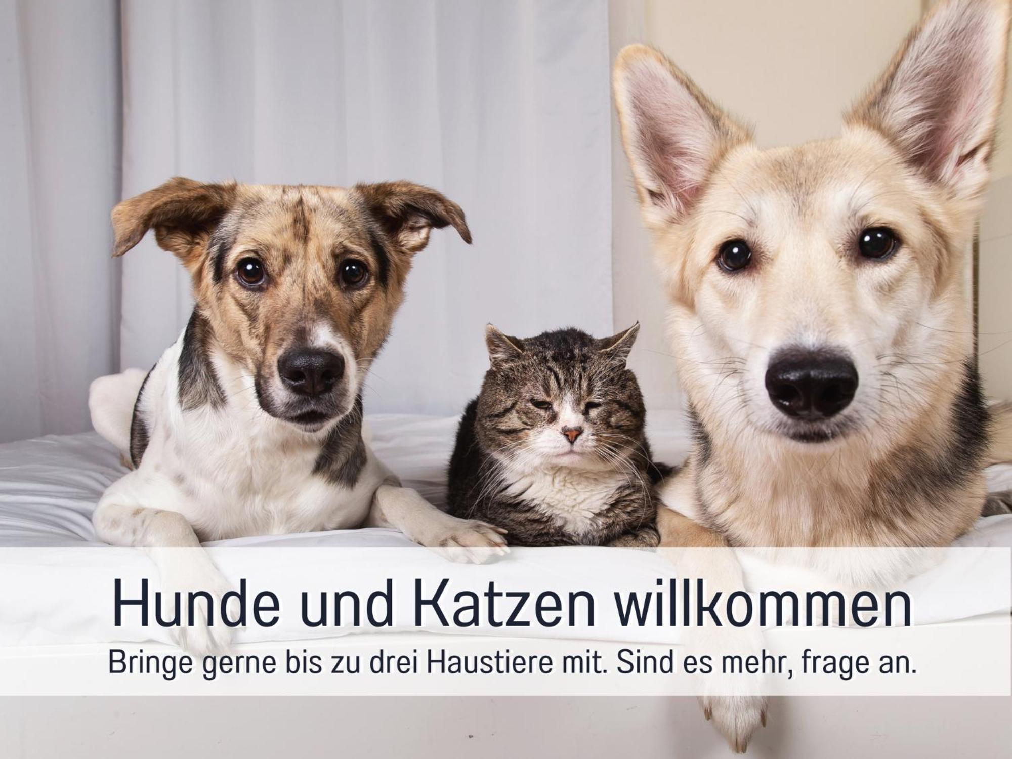 Ferienloft Sternenblick - Strandnah, Haustierfreundlich, Tolle Kueche, Optimal Fuer Workation, 4 Personen Steinberg  Εξωτερικό φωτογραφία