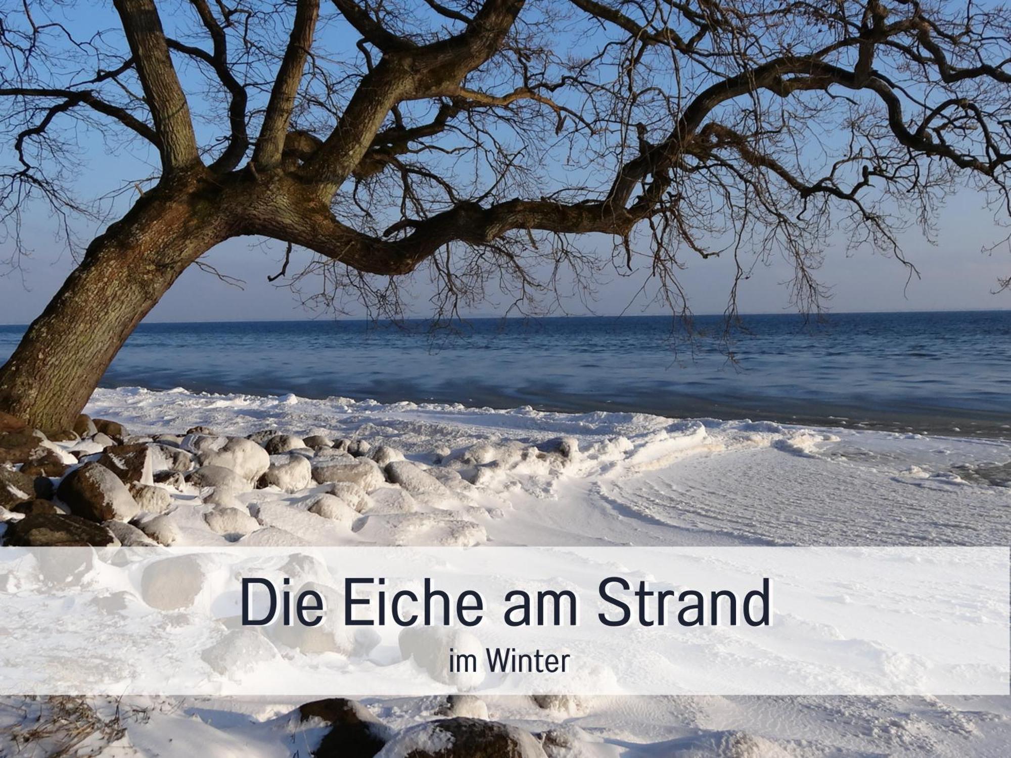 Ferienloft Sternenblick - Strandnah, Haustierfreundlich, Tolle Kueche, Optimal Fuer Workation, 4 Personen Steinberg  Εξωτερικό φωτογραφία