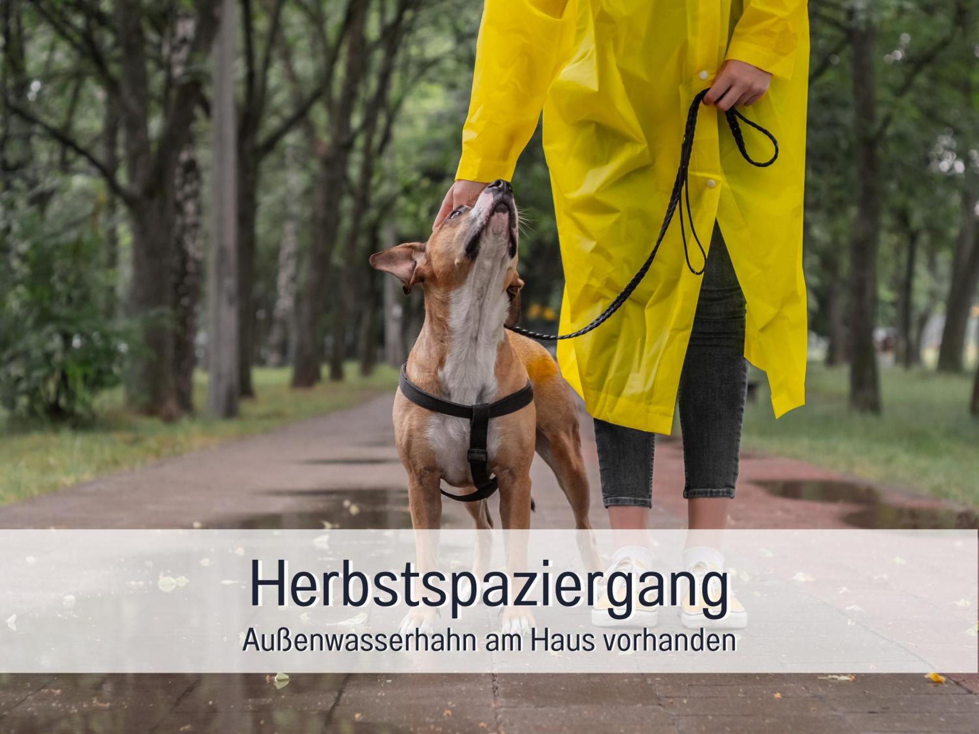 Ferienloft Sternenblick - Strandnah, Haustierfreundlich, Tolle Kueche, Optimal Fuer Workation, 4 Personen Steinberg  Εξωτερικό φωτογραφία