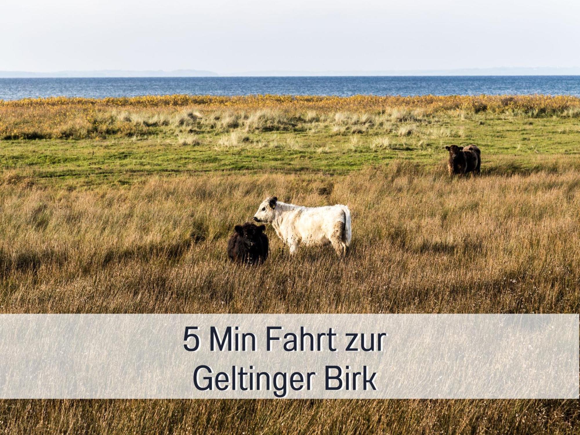 Ferienloft Sternenblick - Strandnah, Haustierfreundlich, Tolle Kueche, Optimal Fuer Workation, 4 Personen Steinberg  Εξωτερικό φωτογραφία